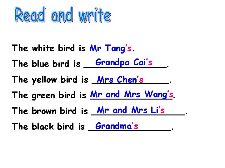 The white bird is Mr Tang’s. Grandpa Cai’s The blue bird is ________. The