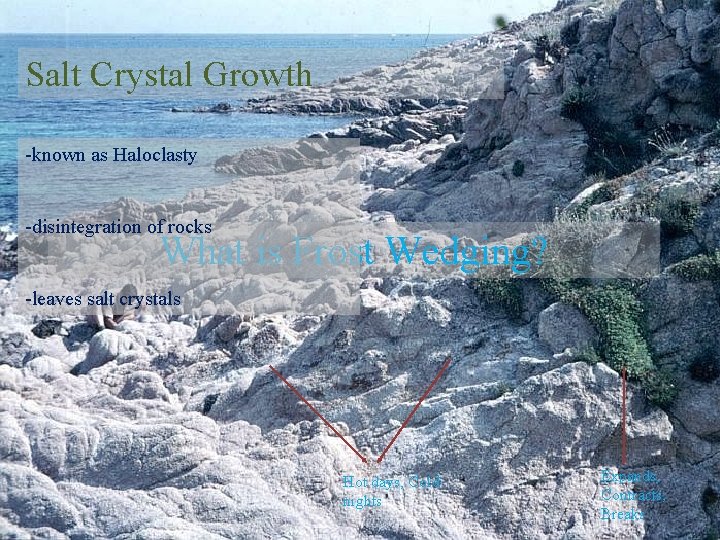 Salt Crystal Growth -known as Haloclasty -disintegration of rocks What is Frost Wedging? -leaves