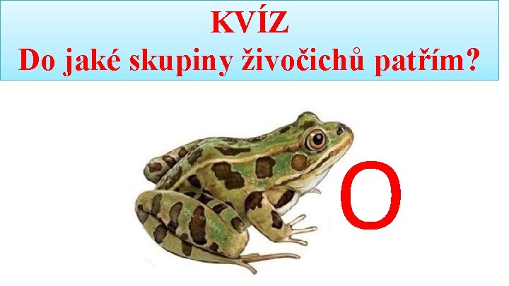 KVÍZ Do jaké skupiny živočichů patřím? O 