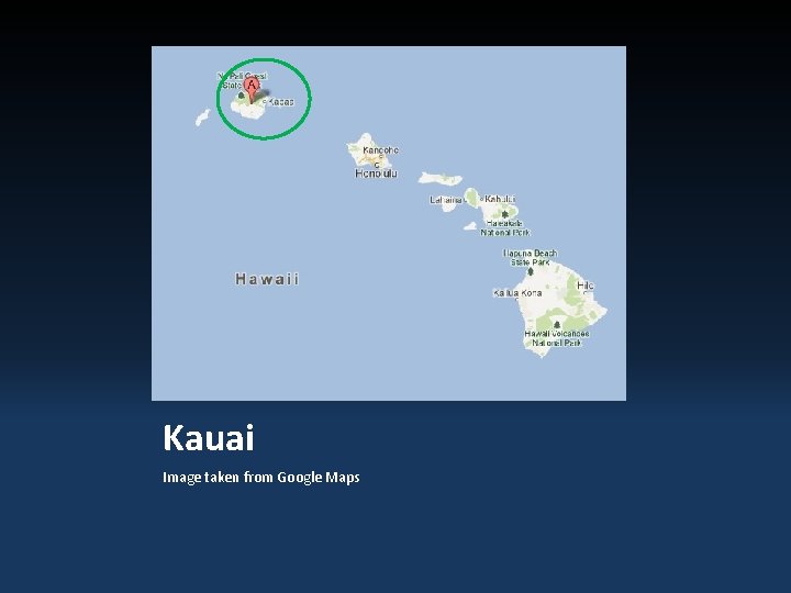 Kauai Image taken from Google Maps 