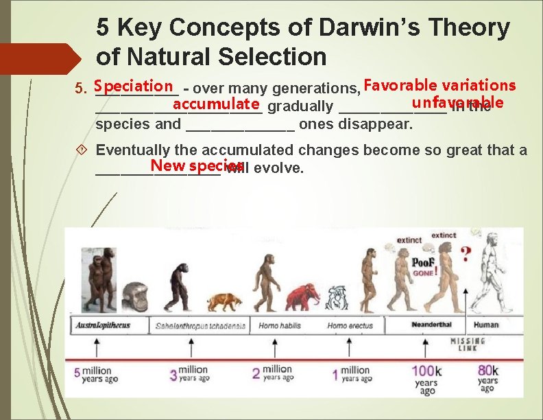 5 Key Concepts of Darwin’s Theory of Natural Selection 5. Speciation _____ - over