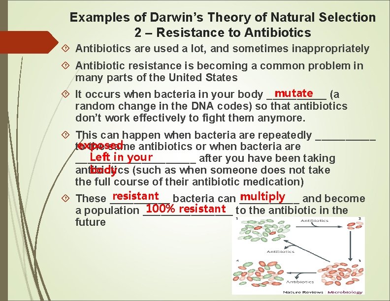 Examples of Darwin’s Theory of Natural Selection 2 – Resistance to Antibiotics are used