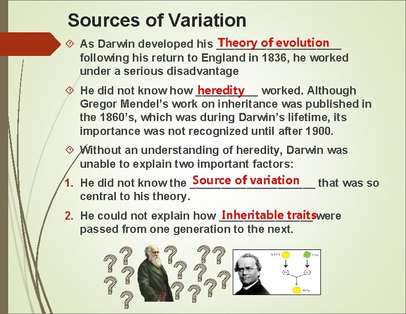 Sources of Variation Theory of evolution As Darwin developed his __________ following his return