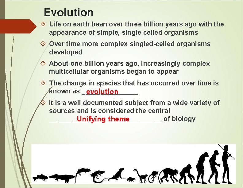 Evolution Life on earth bean over three billion years ago with the appearance of