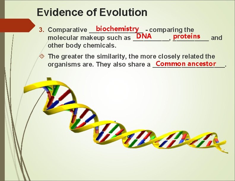 Evidence of Evolution biochemistry - comparing the 3. Comparative ________ DNA proteins molecular makeup