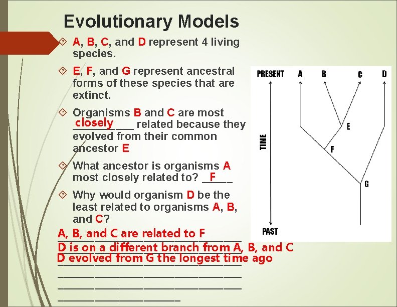 Evolutionary Models A, B, C, and D represent 4 living species. E, F, and