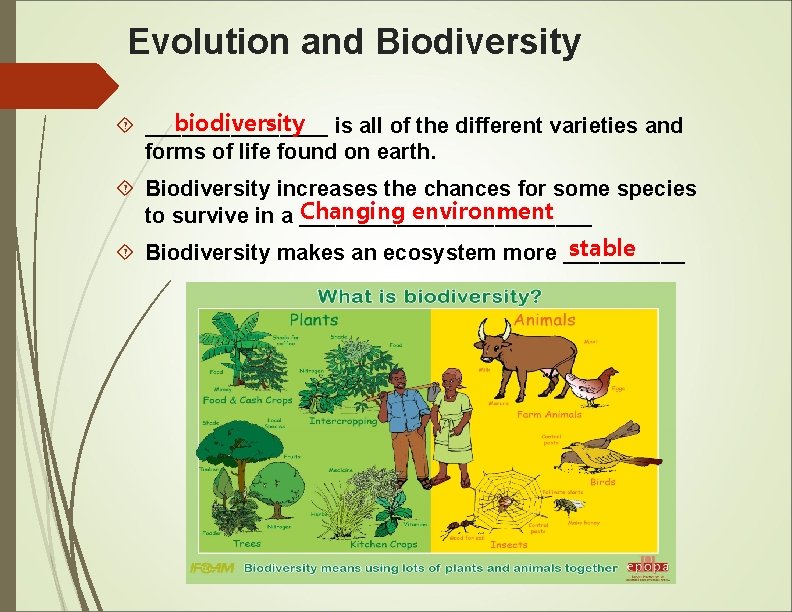 Evolution and Biodiversity biodiversity is all of the different varieties and ________ forms of