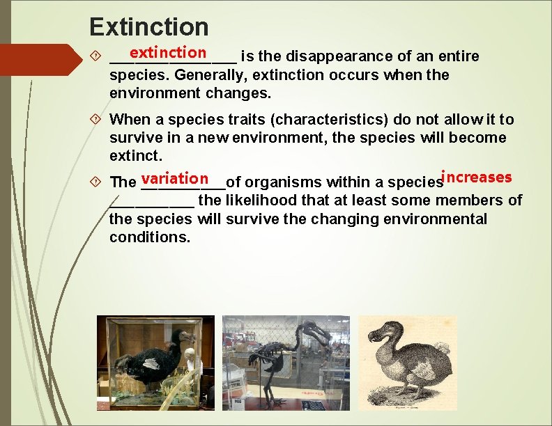 Extinction extinction ________ is the disappearance of an entire species. Generally, extinction occurs when