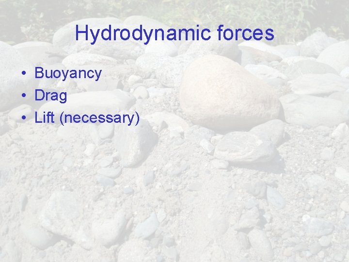 Hydrodynamic forces • Buoyancy • Drag • Lift (necessary) 