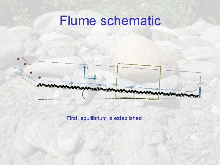 Flume schematic First, equilibrium is established 