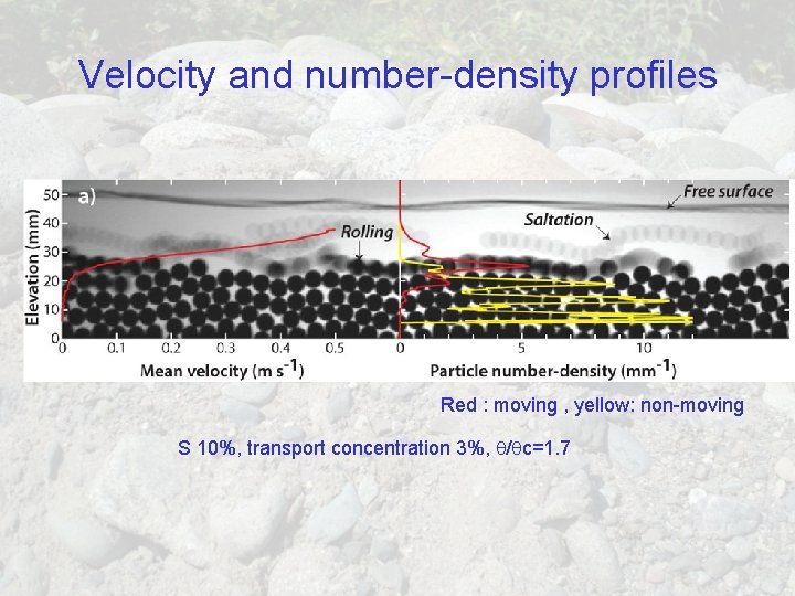 Velocity and number-density profiles Red : moving , yellow: non-moving S 10%, transport concentration