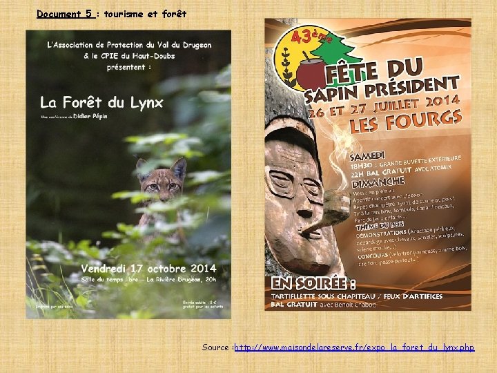 Document 5 : tourisme et forêt Source : http: //www. maisondelareserve. fr/expo_la_foret_du_lynx. php 