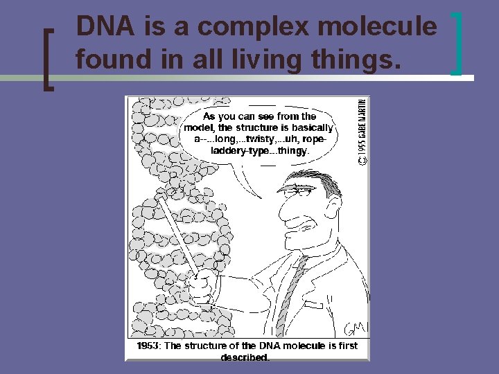 DNA is a complex molecule found in all living things. 