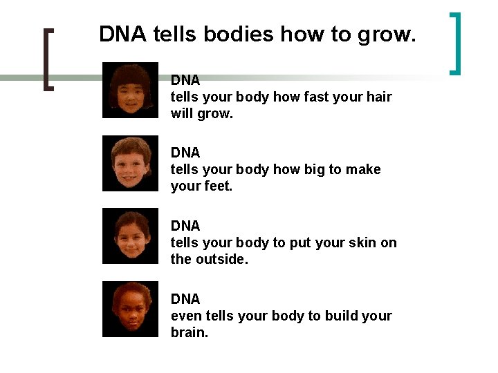 DNA tells bodies how to grow. DNA tells your body how fast your hair