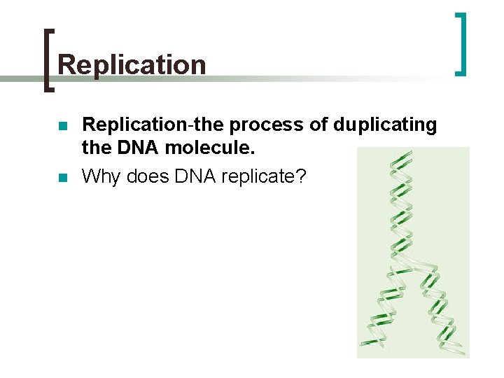 Replication n n Replication-the process of duplicating the DNA molecule. Why does DNA replicate?