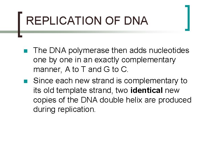 REPLICATION OF DNA n n The DNA polymerase then adds nucleotides one by one