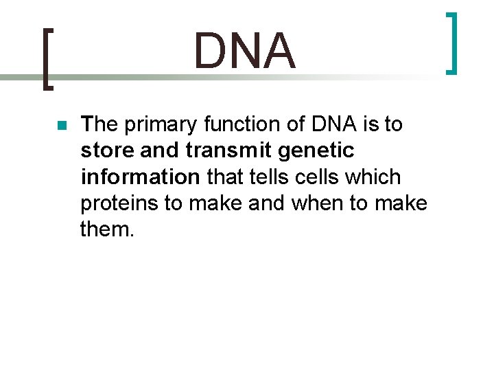 DNA n The primary function of DNA is to store and transmit genetic information