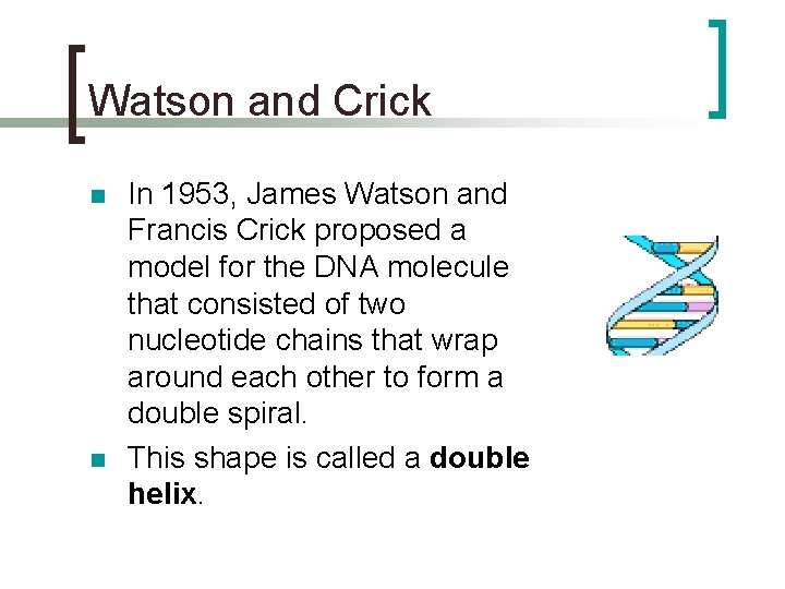 Watson and Crick n n In 1953, James Watson and Francis Crick proposed a