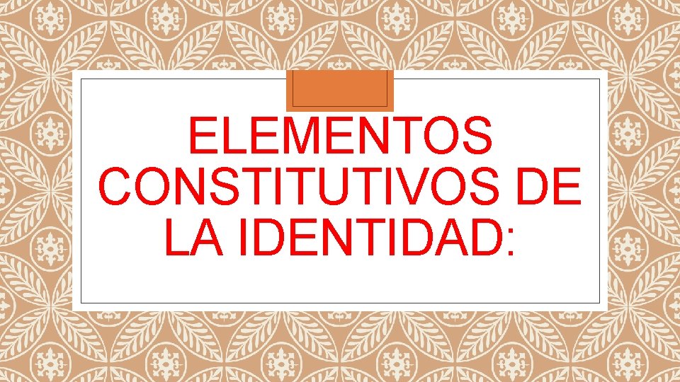 ELEMENTOS CONSTITUTIVOS DE LA IDENTIDAD: 