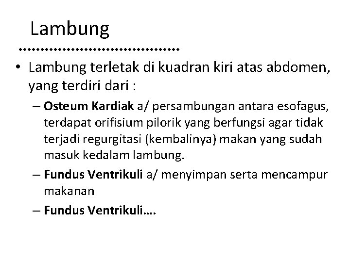 Lambung • Lambung terletak di kuadran kiri atas abdomen, yang terdiri dari : –