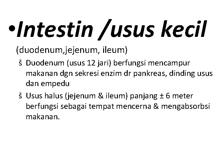  • Intestin /usus kecil (duodenum, jejenum, ileum) š Duodenum (usus 12 jari) berfungsi