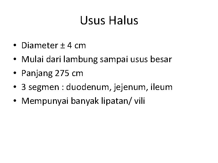 Usus Halus • • • Diameter ± 4 cm Mulai dari lambung sampai usus