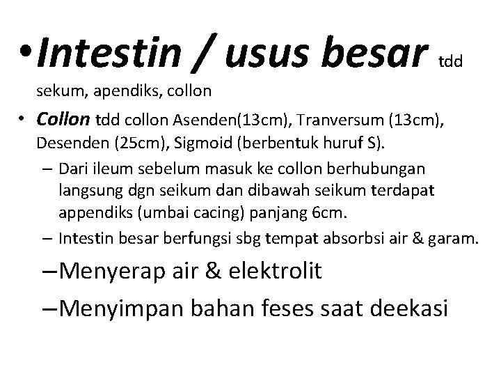  • Intestin / usus besar tdd sekum, apendiks, collon • Collon tdd collon