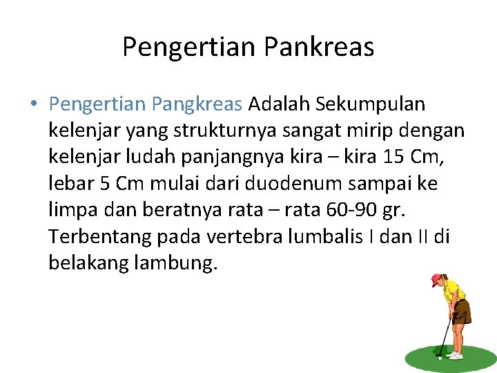 Pengertian Pankreas • Pengertian Pangkreas Adalah Sekumpulan kelenjar yang strukturnya sangat mirip dengan kelenjar