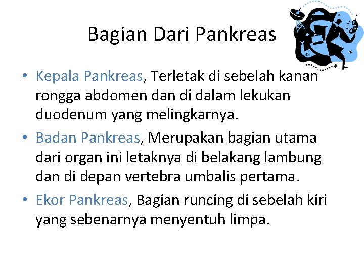 Bagian Dari Pankreas • Kepala Pankreas, Terletak di sebelah kanan rongga abdomen dan di