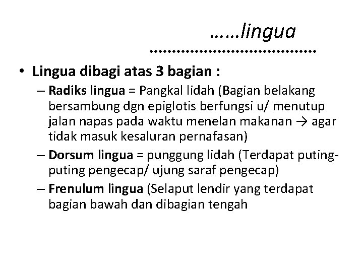 ……lingua • Lingua dibagi atas 3 bagian : – Radiks lingua = Pangkal lidah