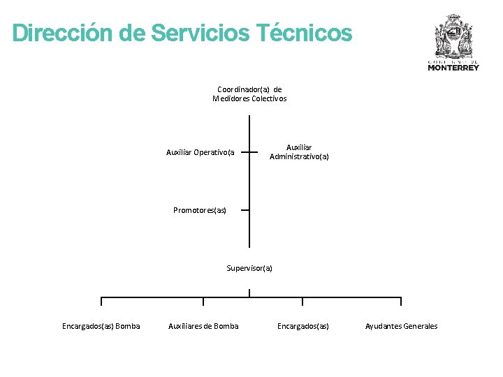 Dirección de Servicios Técnicos Coordinador(a) de Medidores Colectivos Auxiliar Operativo(a Auxiliar Administrativo(a) Promotores(as) Supervisor(a)