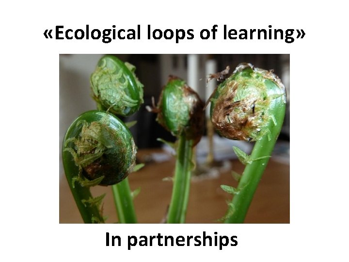  «Ecological loops of learning» In partnerships 
