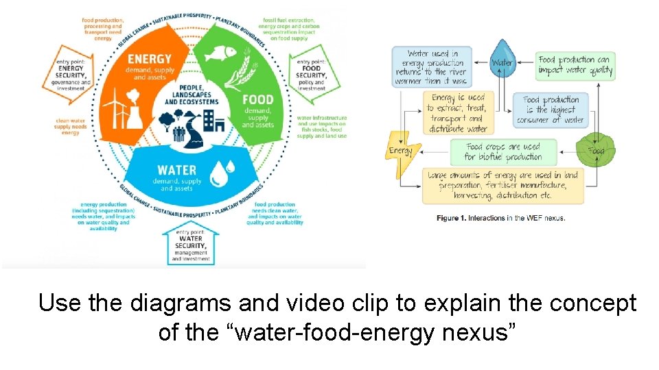 Use the diagrams and video clip to explain the concept of the “water-food-energy nexus”