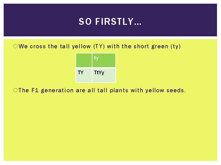 SO FIRSTLY… We cross the tall yellow (TY) with the short green (ty) ty