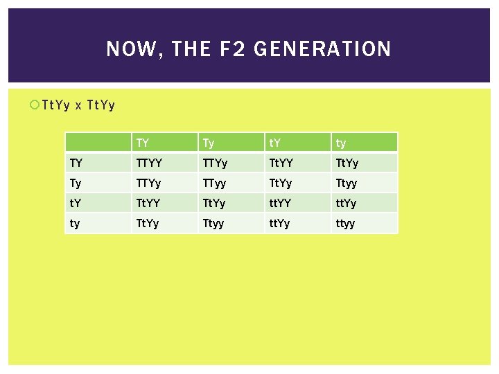 NOW, THE F 2 GENERATION Tt. Yy x Tt. Yy TY Ty t. Y