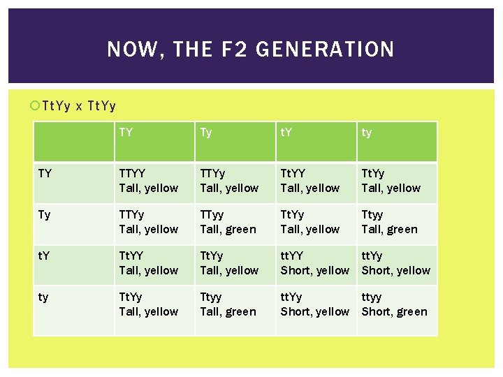 NOW, THE F 2 GENERATION Tt. Yy x Tt. Yy TY Ty t. Y