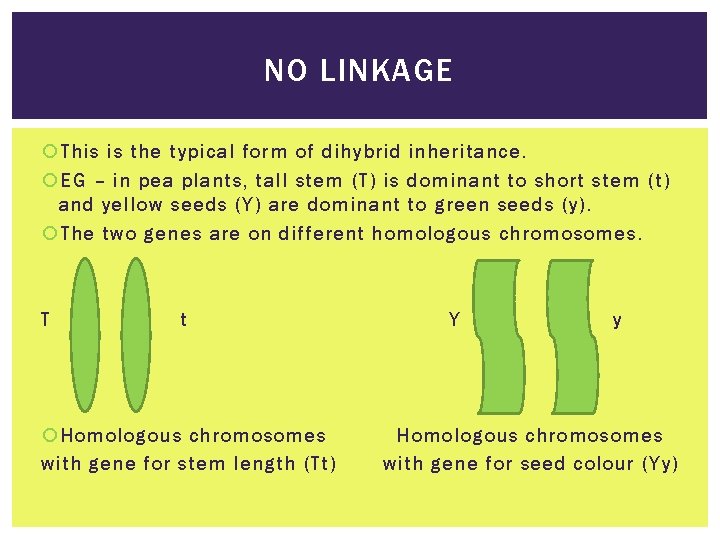 NO LINKAGE This is the typical form of dihybrid inheritance. EG – in pea