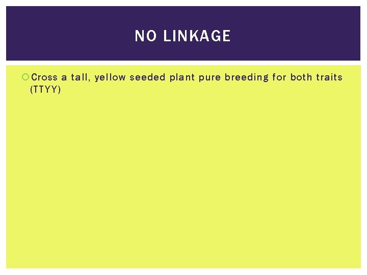 NO LINKAGE Cross a tall, yellow seeded plant pure breeding for both traits (TTYY)