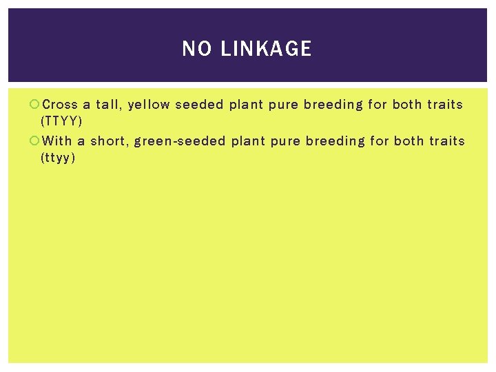 NO LINKAGE Cross a tall, yellow seeded plant pure breeding for both traits (TTYY)