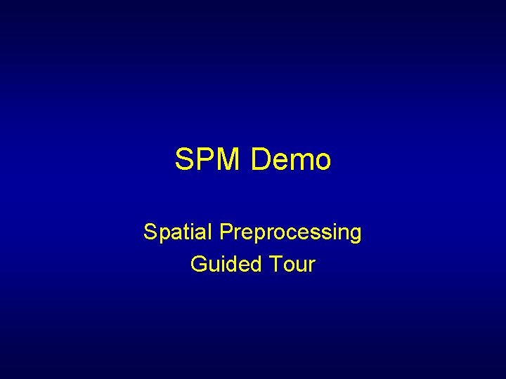 SPM Demo Spatial Preprocessing Guided Tour 
