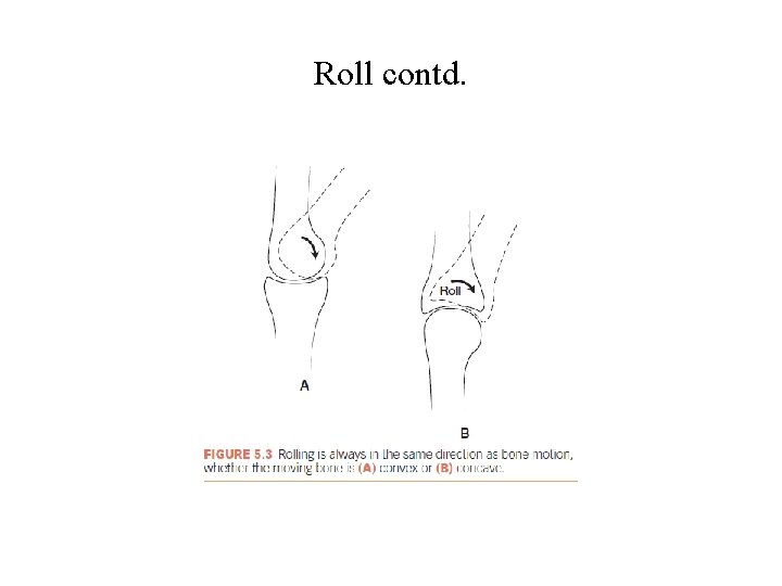 Roll contd. Roll contd.