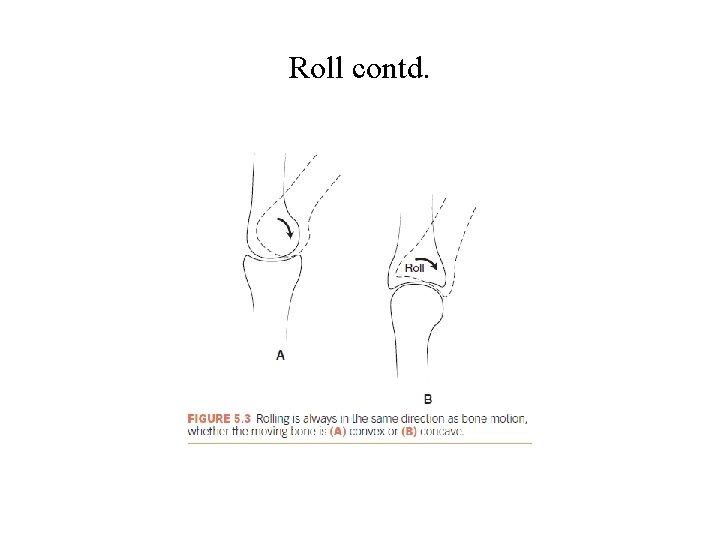 Roll contd. 