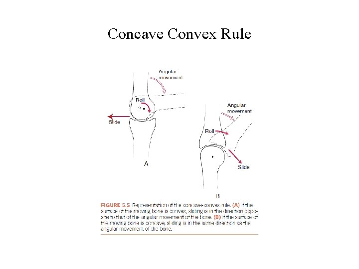 Concave Convex Rule Concave Convex Rule