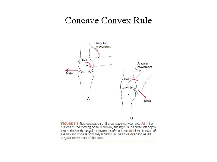 Concave Convex Rule 