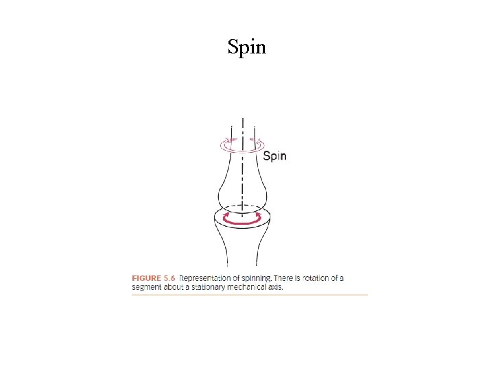 Spin Spin