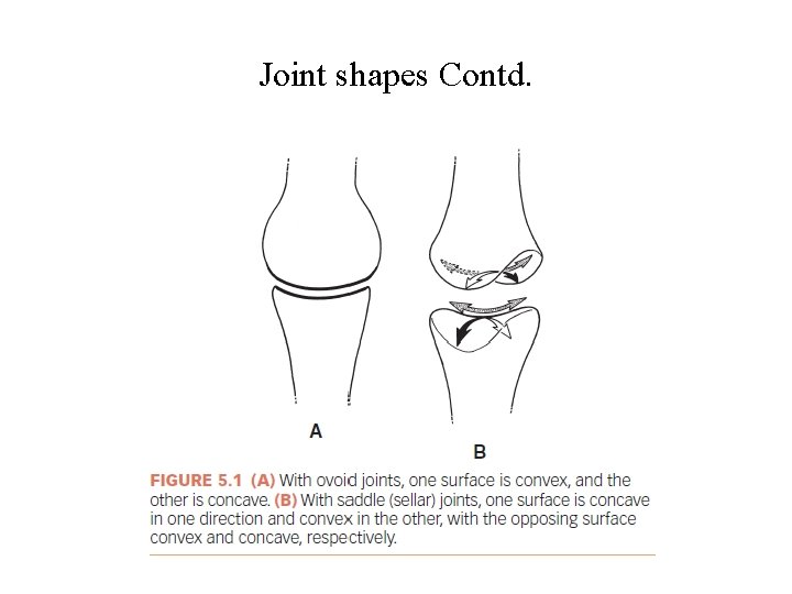 Joint shapes Contd. Joint shapes Contd.