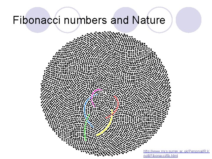 Fibonacci numbers and Nature http: //www. mcs. surrey. ac. uk/Personal/R. K nott/Fibonacci/fib. html 