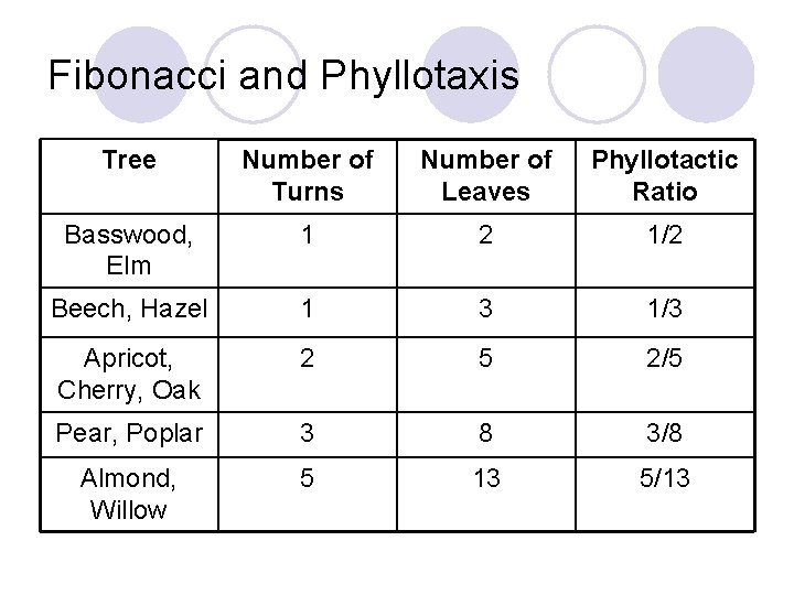 Fibonacci and Phyllotaxis Tree Number of Turns Number of Leaves Phyllotactic Ratio Basswood, Elm