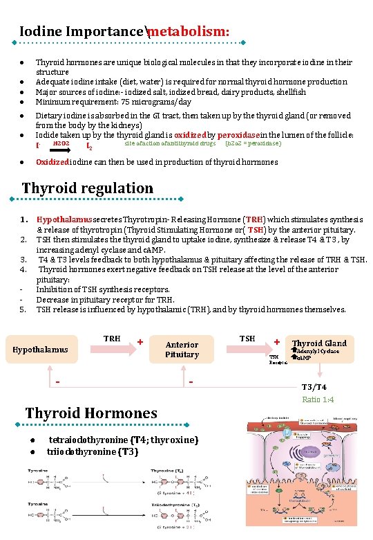 Iodine Importancemetabolism: Thyroid hormones are unique biological molecules in that they incorporate iodine in