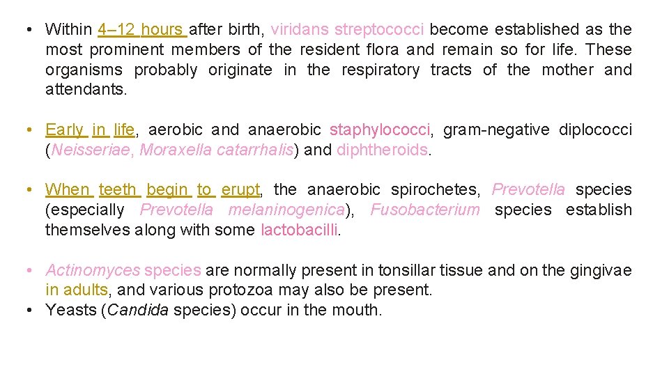  • Within 4– 12 hours after birth, viridans streptococci become established as the